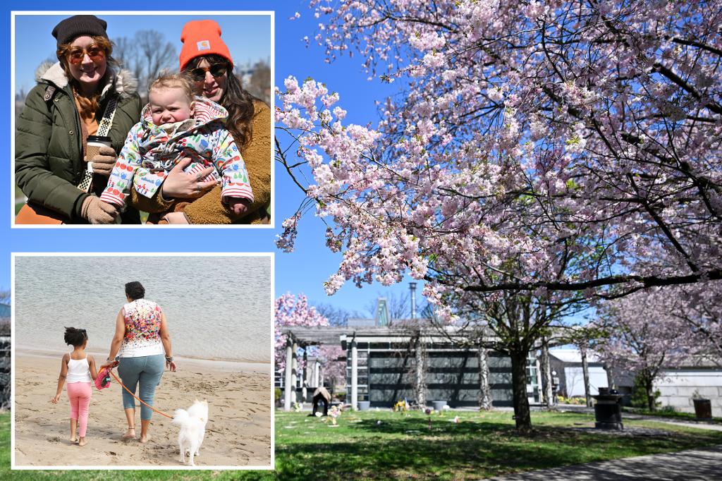 This spring is deceivingly warmer than average much to Big Apple’s disbelief