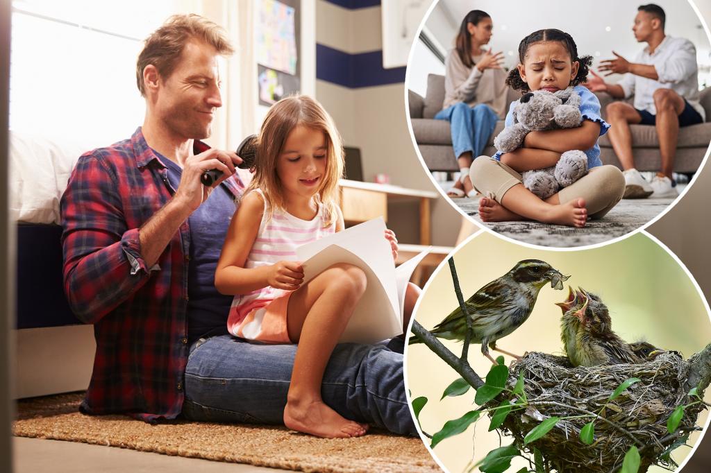 ‘Birdnesting’ is the new custody trend for divorcing parents