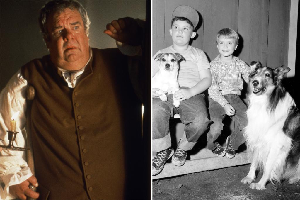 ‘Lassie’ actor Joey D. Vieira dead at 80