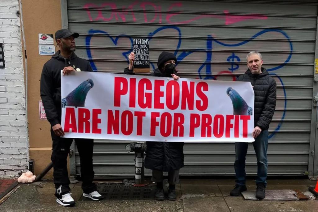 Brooklyn pet store owner accused of kidnapping NYC pigeons, selling them as live shooting targets