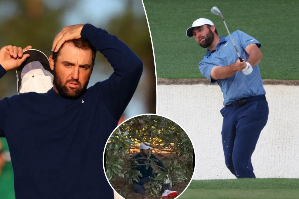 Scottie Scheffler sits in a tree at the 18th hole of the Masters — and everyone had jokes