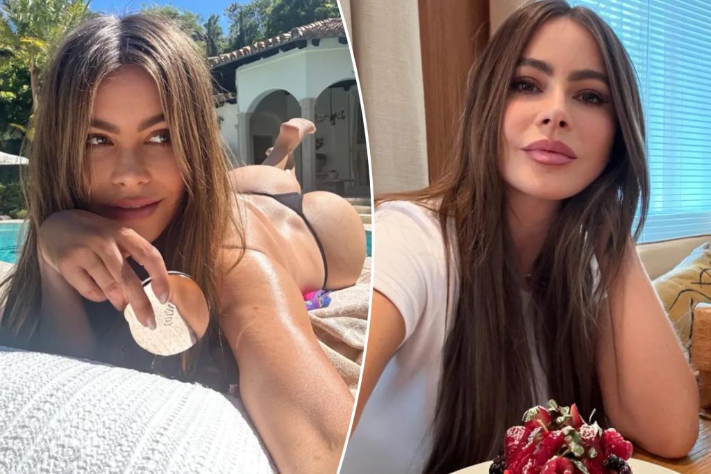 Sofia Vergara begs for summer with cheeky bikini snap