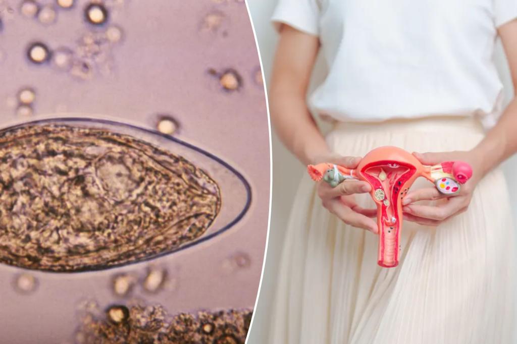 This parasitic infection can increase cervical cancer risk